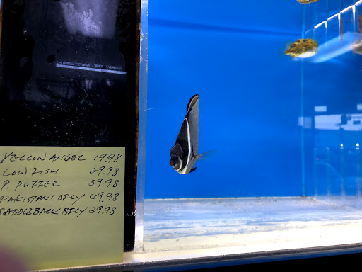 Aquarium Shop «Oranda aquarium», reviews and photos, 302 N La Brea Ave, Los Angeles, CA 90036, USA