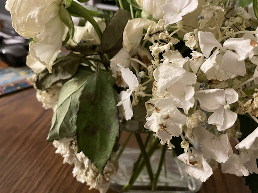 Florist «Sedgefield Florist», reviews and photos, 5002 High Point Rd a, Greensboro, NC 27407, USA