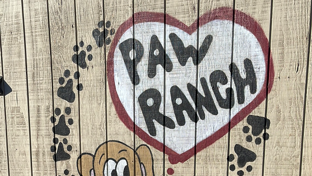 Paw Ranch AZ