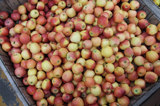 Grocery Store «Green Farmers Market», reviews and photos, 101 Plaza Center, Secaucus, NJ 07094, USA