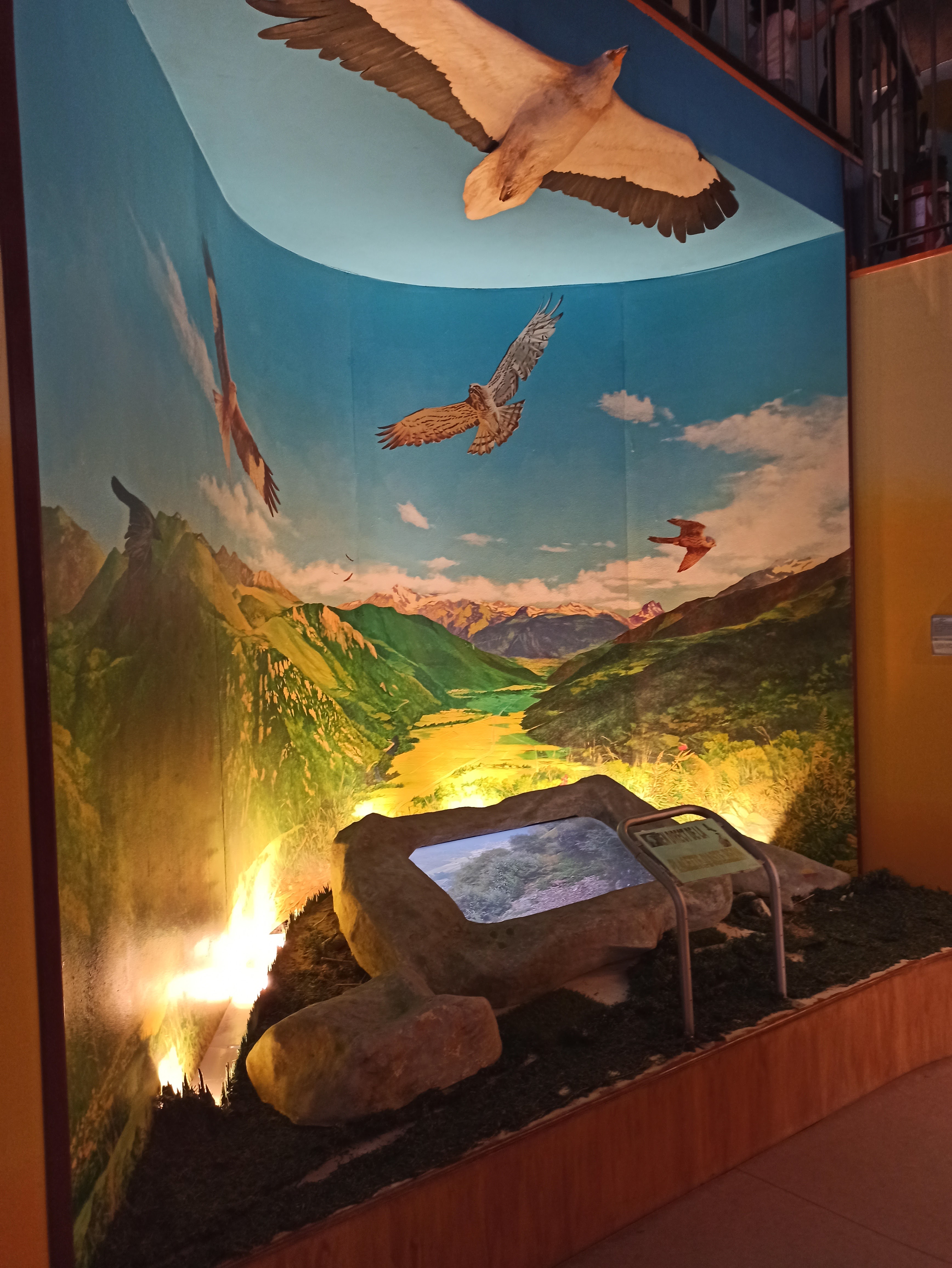 Photo n° 3 de l'avis de Aude. fait le 23/07/2020 à 12:29