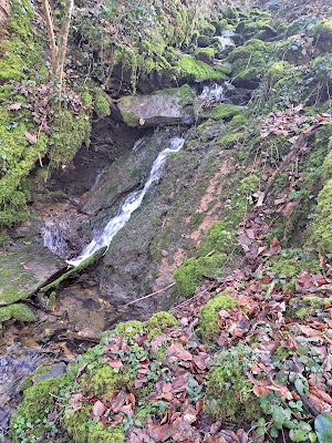 Cascade du Haut du Fort à Gircourt-lès-Viéville