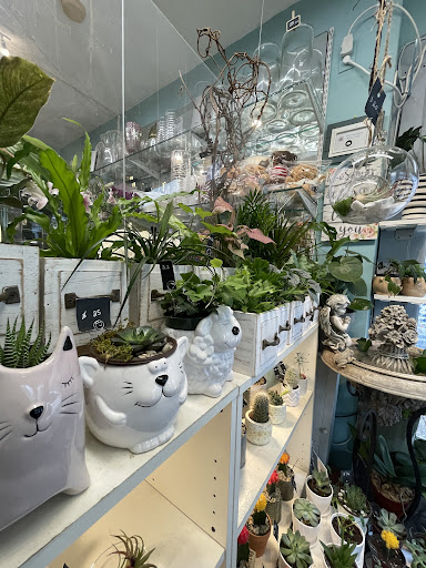 Florist «Chaba Florists», reviews and photos, 71 Stuart St, Boston, MA 02116, USA