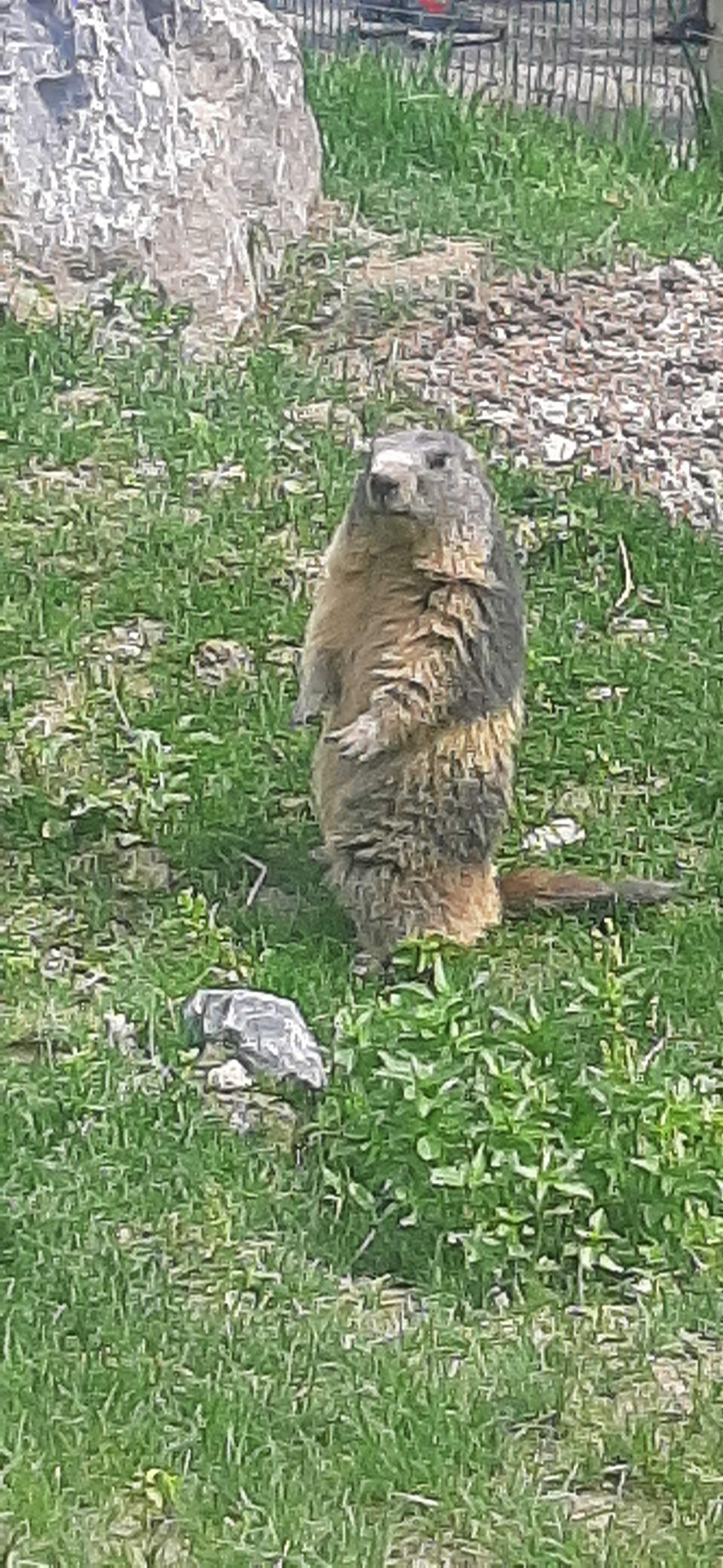 Photo n° 1 de l'avis de Thierry.a fait le 12/06/2023 à 20:21