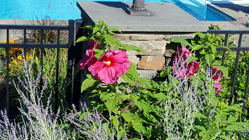 Garden Center «Victoria Gardens», reviews and photos, 1 Cottekill Rd, Rosendale, NY 12472, USA