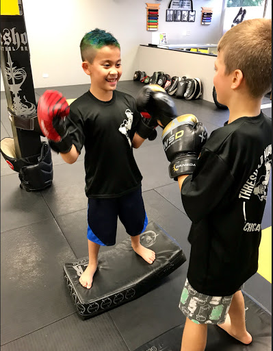 Martial Arts School «Threshold Martial Arts», reviews and photos, 1415 Ellinwood Ave #2, Des Plaines, IL 60016, USA