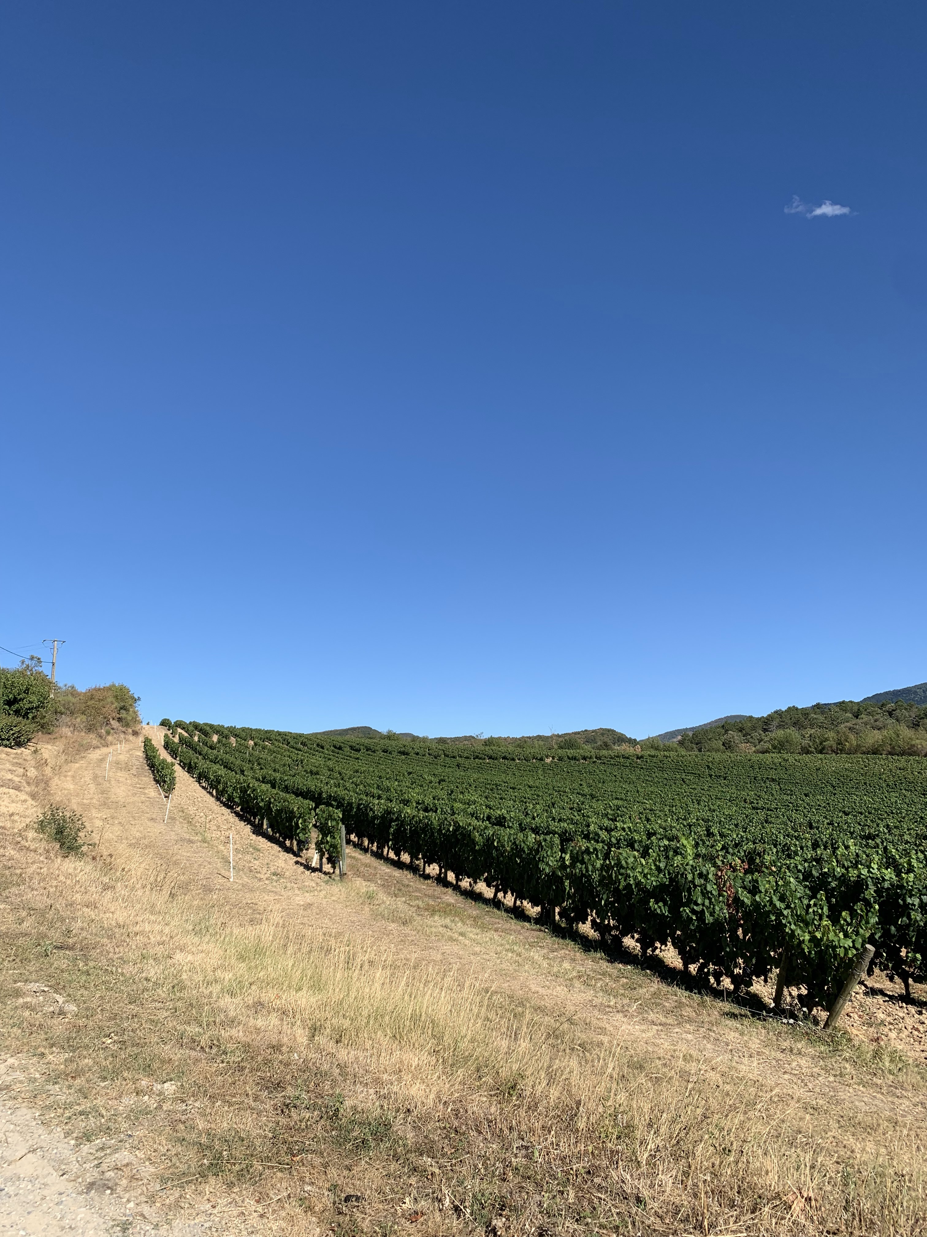 Photo n° 14 de l'avis de Anna.a fait le 20/08/2022 à 18:11