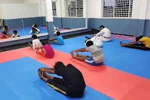 Win's Taekwondo and fitness Academy image