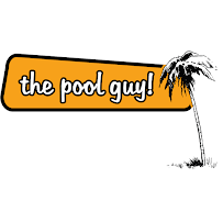 The Pool Guy! - Photo 5 - Car repair in , Elk Grove