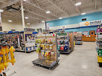 PetSmart - Photo 9 - Car repair in Ventura, CA, San Buenaventura