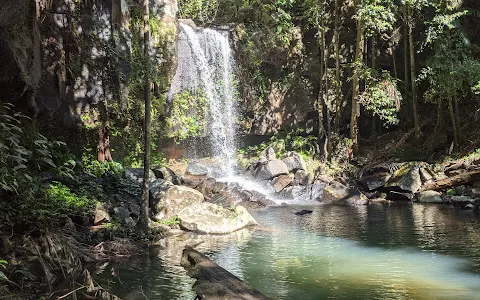 Tamborine National Park image