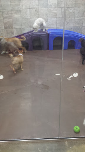 Pet Supply Store «PetSmart», reviews and photos, 315 Gellert Blvd, Daly City, CA 94015, USA