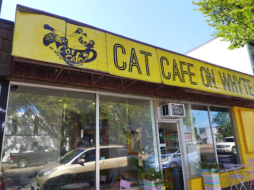 Cat Cafe on Whyte