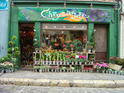 Chrysalide à Chartres