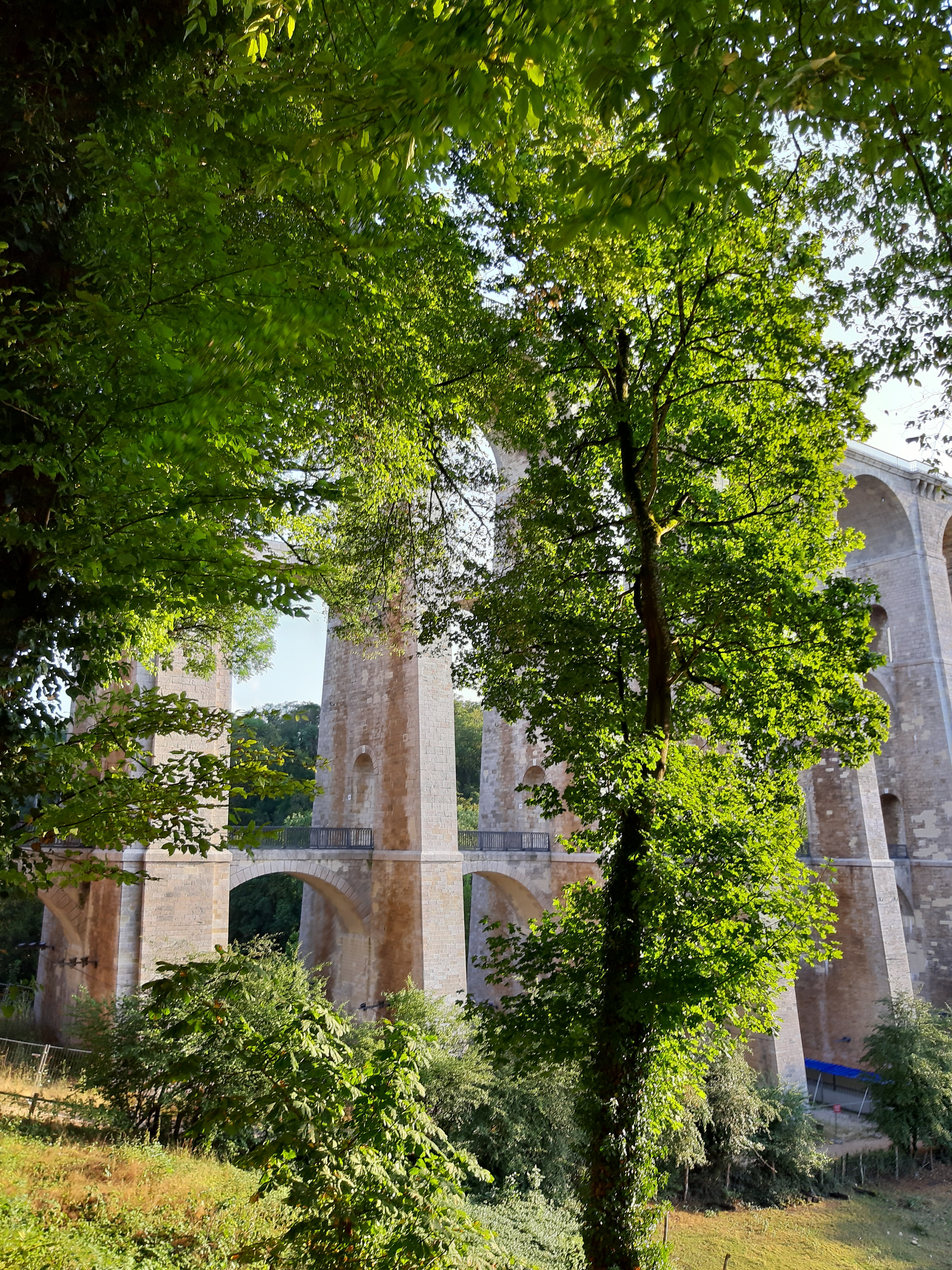Photo n° 1 de l'avis de Roman.e fait le 10/08/2019 à 14:01