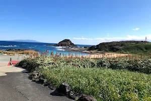 Cape Tsumekizaki Natural Park. image