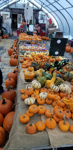 Produce Market «Level Acres Farm», reviews and photos, 353 Highland Ave, Attleboro, MA 02703, USA