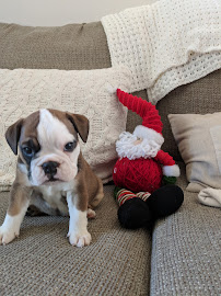 Shock Buys Houses - Photo 7 - Car repair in Athens, GA, Athens