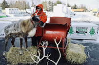 Events by Emily, LLC - Photo 9 - Car repair in , Minneapolis