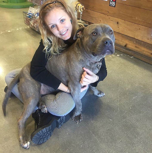 Pet Supply Store «Local Pet Market», reviews and photos, 18900 Beach Blvd #109, Huntington Beach, CA 92648, USA