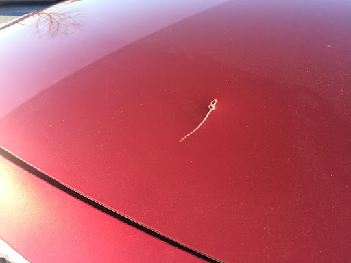 Auto Body Shop «Brookside Collision», reviews and photos, 33 Industrial Rd, Ephrata, PA 17522, USA