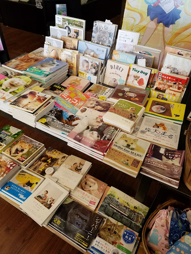 Book Store «Kinokuniya Book Store», reviews and photos, 2540 Old Denton Rd #114, Carrollton, TX 75006, USA