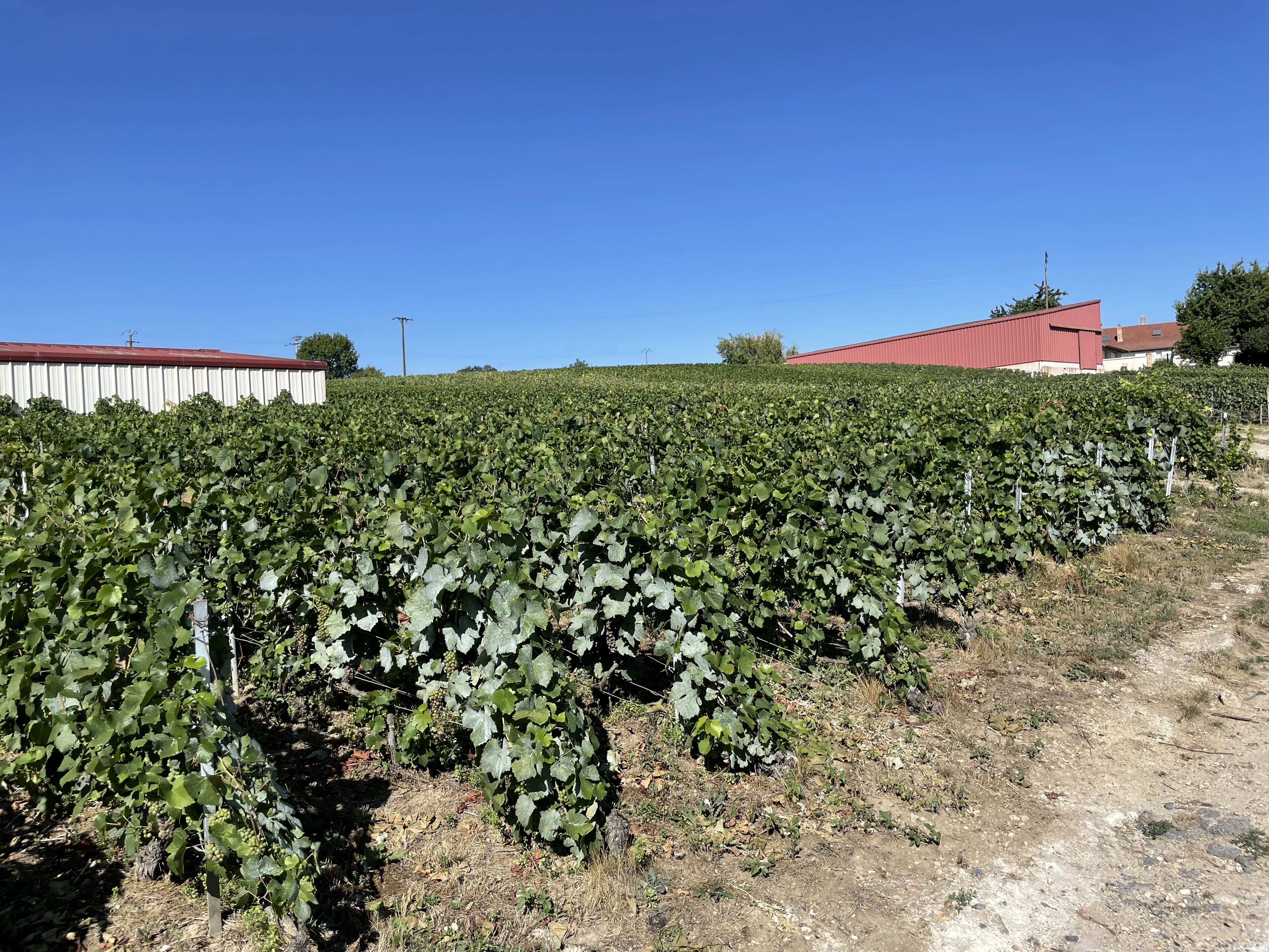 Photo n° 2 de l'avis de Michele.e fait le 12/08/2022 à 14:48