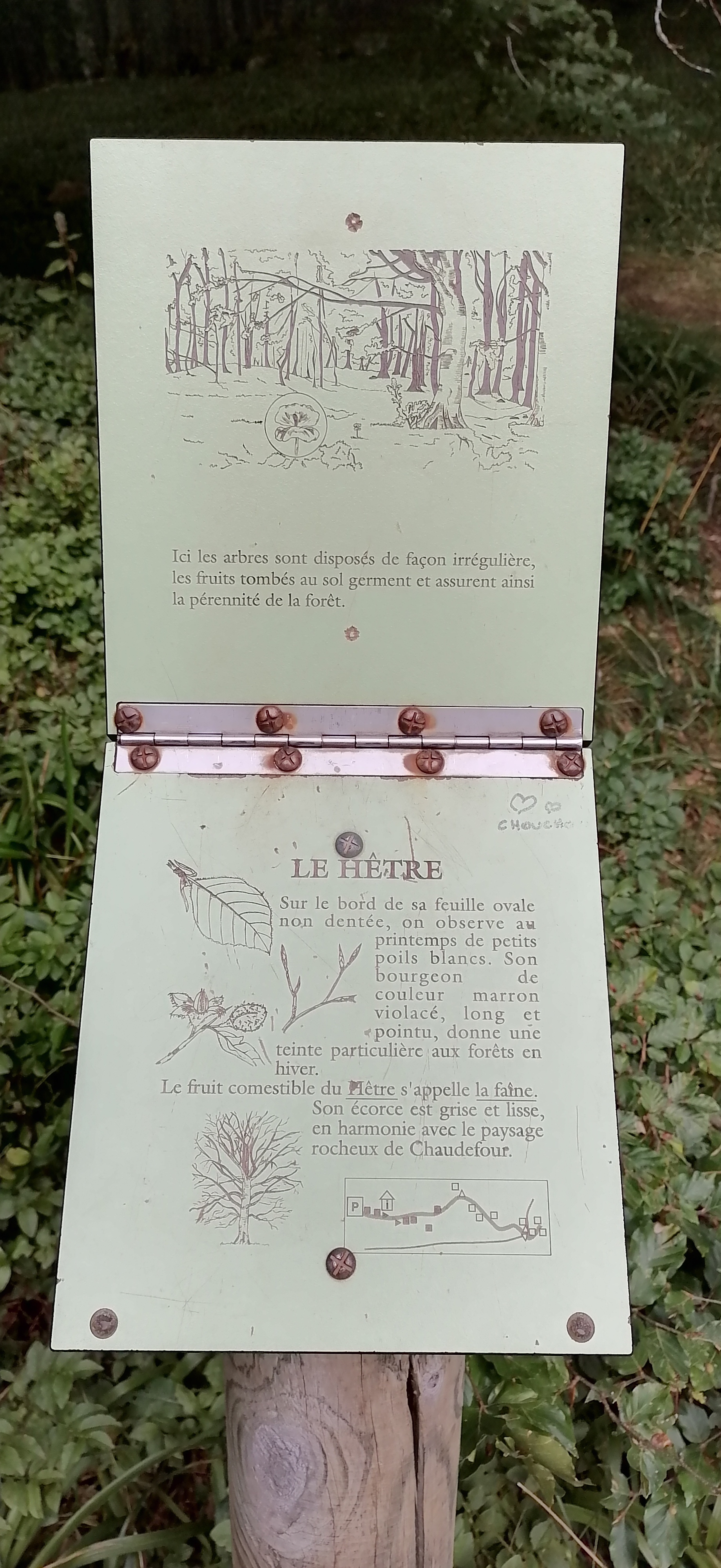 Photo n° 21 de l'avis de Lucas.a fait le 22/08/2022 à 18:16