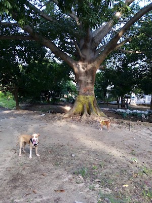 Parque De Los Cumpleaños - photo 1
