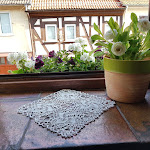 Photo n°6 de l'avis de Angelika.a fait le 26/05/2019 à 09:32 sur le  Landgasthof Carolus à Nidderau