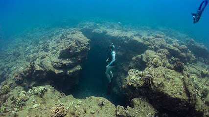 Freedive Kauai