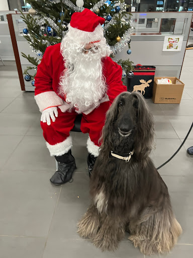 Subaru Dealer «Dunning Subaru», reviews and photos, 3771 Jackson Rd, Ann Arbor, MI 48103, USA