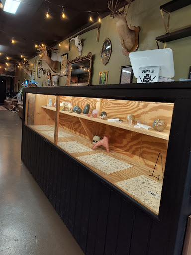 Explore meaning healing tattoo ideas, creative tattoo ideas in Elizabethton, available at Pioneer Tattoo Company