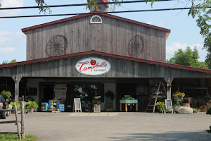 The Campbell's Orchard & Country Market image