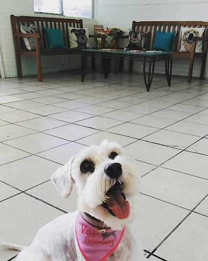 Modelo de negocio