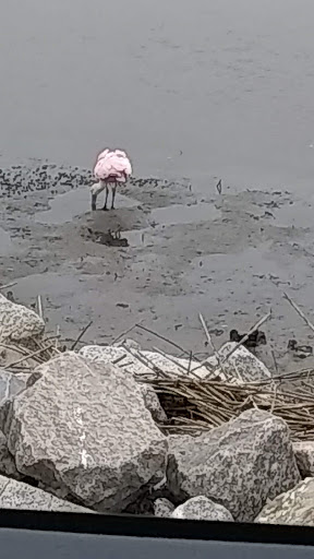 National Park «Atalaya», reviews and photos, Atalaya Rd, Murrells Inlet, SC 29576, USA