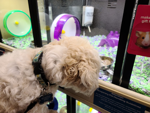 Pet Supply Store «PetSmart», reviews and photos, 4004 US-130, Delran, NJ 08075, USA