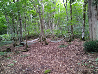 森林セラピー「ゆりかごの小径」