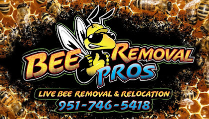 Bee Removal Pros