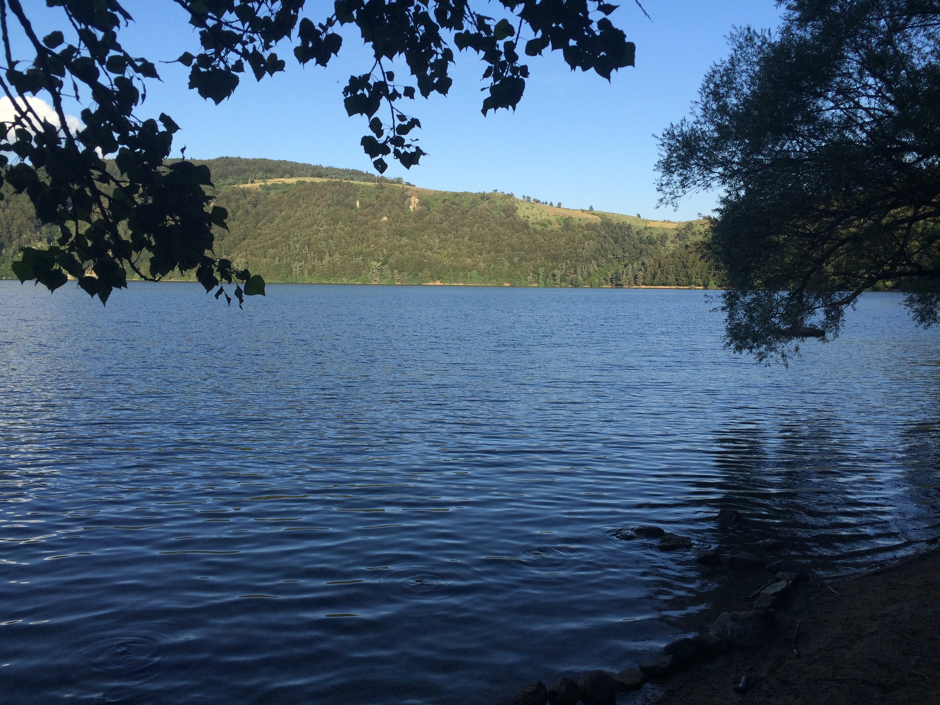 Photo n° 3 de l'avis de Anthony.a fait le 05/02/2024 à 13:24