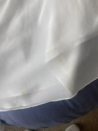 A Cleaner World - Photo 5 - Car repair in Raleigh, NC, Raleigh