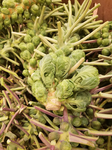 Grocery Store «ShopRite of Bayville», reviews and photos, 431 Atlantic City Blvd, Bayville, NJ 08721, USA