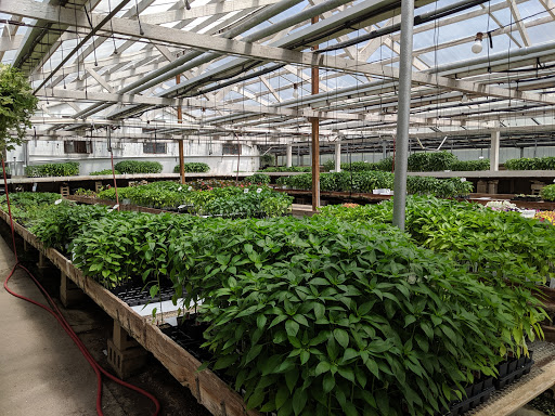 Florist «Fort Thomas Florists & Ghses.», reviews and photos, 63 S Grand Ave, Fort Thomas, KY 41075, USA