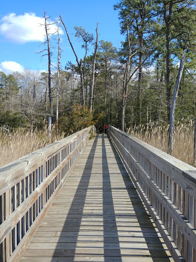 Nature Preserve «Eldora Nature Preserve», reviews and photos, 2350 NJ-47, Delmont, NJ 08314, USA