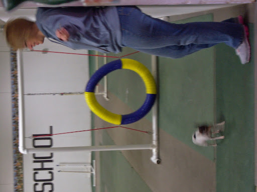 Pet Supply Store «F-M Dog Obedience School», reviews and photos, 1214 Main Ave, Moorhead, MN 56560, USA