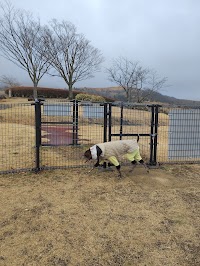 別府湾SAドッグラン