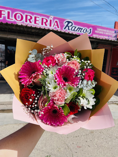 Florería Mérida