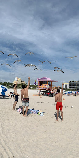 Movie Theater «Regal Cinemas South Beach 18 & IMAX», reviews and photos, 1120 Lincoln Rd, Miami Beach, FL 33139, USA