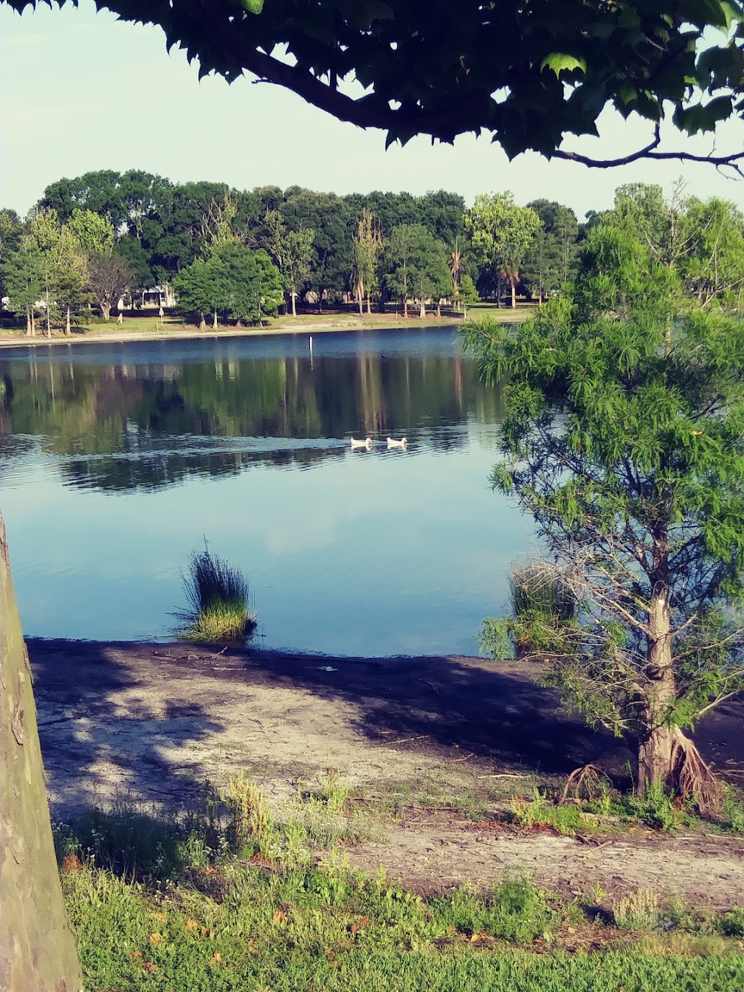 Crest Lake Park