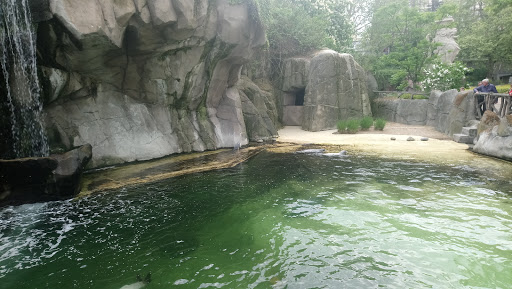 Zoo d'Anvers